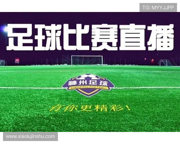 足球比赛直播软件免费下载及使用指南轻松观看精彩赛事不再错过