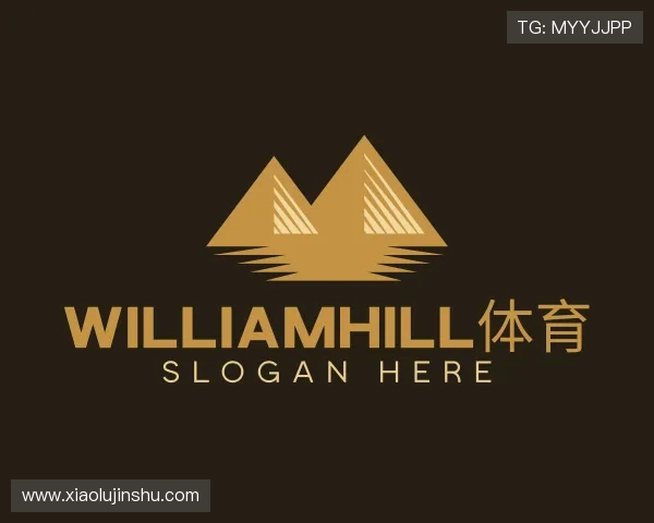 介绍WilliamHill体育