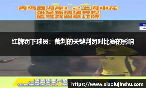 韦德体育bevictor